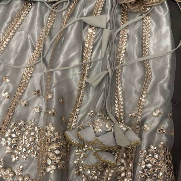 Elegant Lehenga with Gold Embellishments - Picture 4 of 6